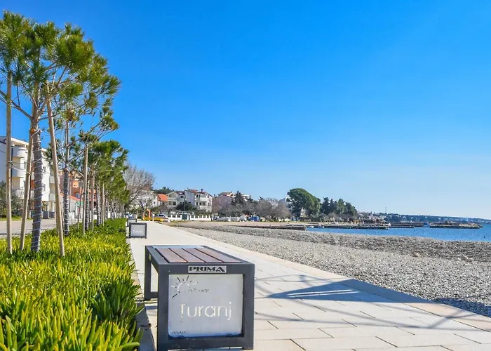 Sterna * Турань